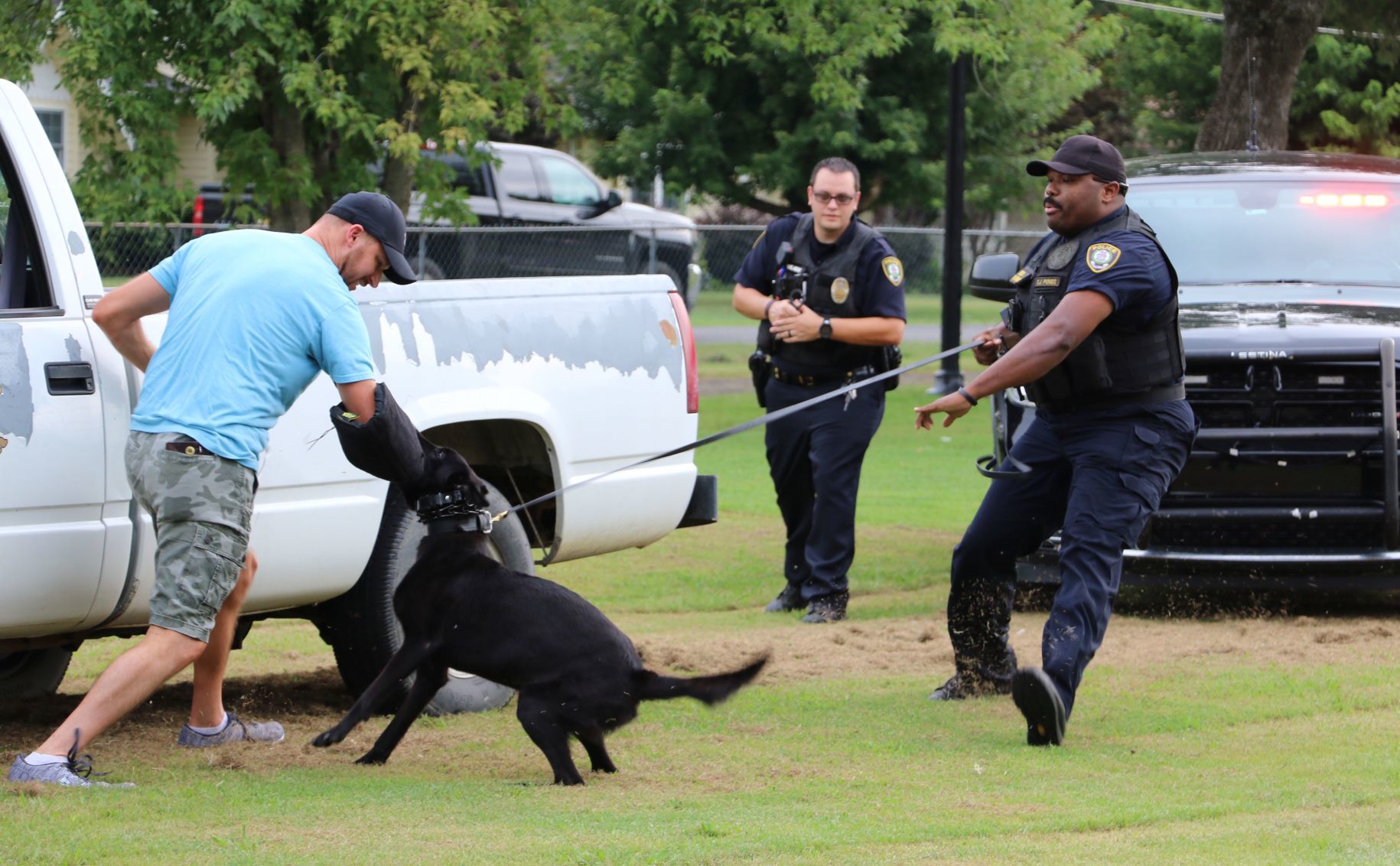 WPD National Night Out Demonstration
